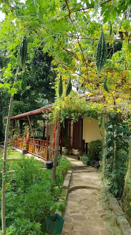 Happy Horizon Home Stay Ella Exterior photo